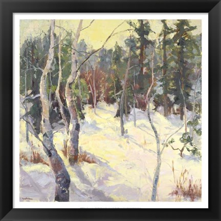 Framed Four Seasons Aspens IV Print