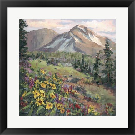 Framed Western Vistas III Print