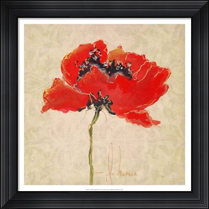 Framed Vivid Red Poppies III Print