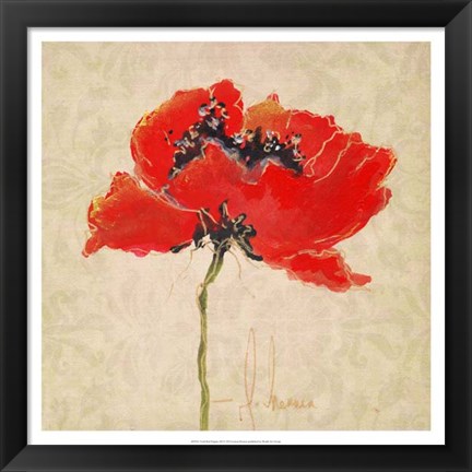 Framed Vivid Red Poppies III Print