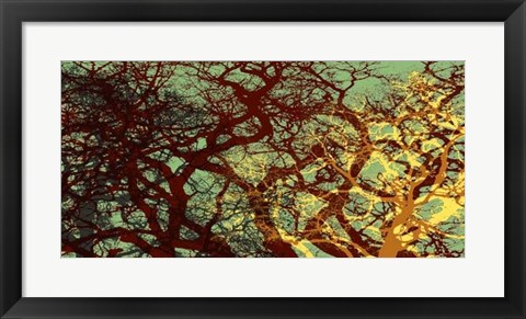 Framed Entangle I Print