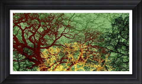 Framed Entangle II Print