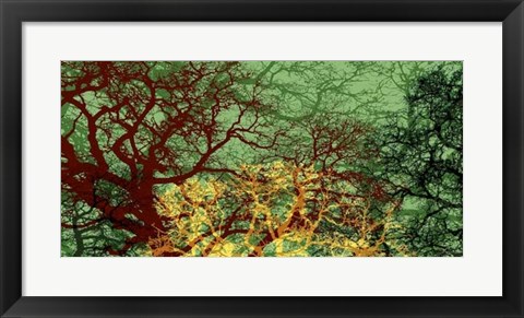 Framed Entangle II Print