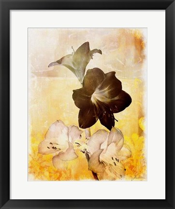 Framed Brocade Garden II Print