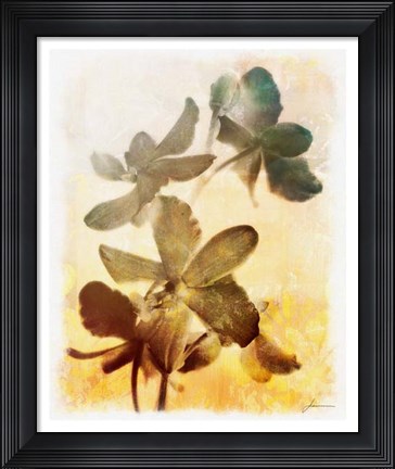 Framed Brocade Garden III Print