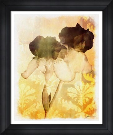 Framed Brocade Garden IV Print