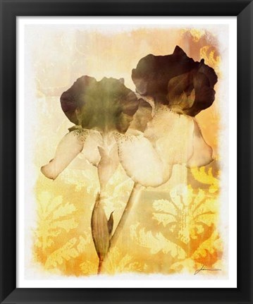 Framed Brocade Garden IV Print