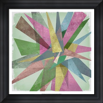 Framed Burst II Print