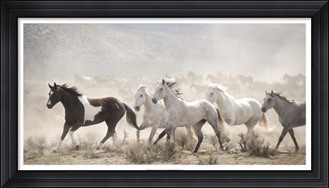Framed Open Range Print