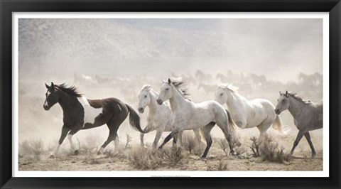 Framed Open Range Print