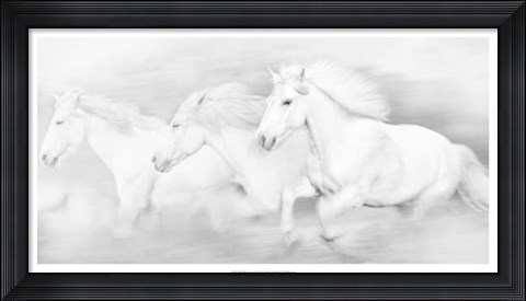 Framed All the White Horses Print