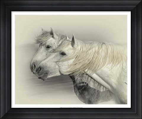 Framed Curiosity Print