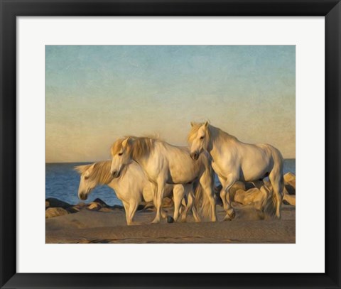 Framed On the Beach Print