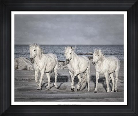 Framed Morning Run Print