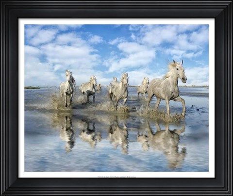 Framed On the Run Print