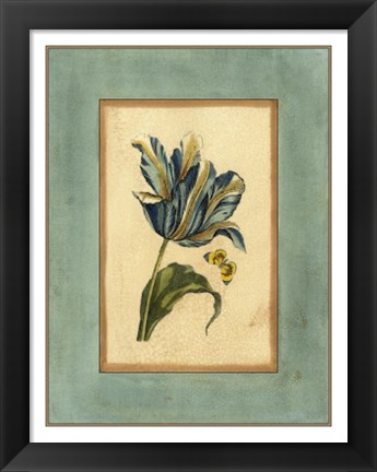 Framed Crackled Spa Blue Tulip II Print