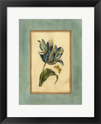 Framed Crackled Spa Blue Tulip II Print