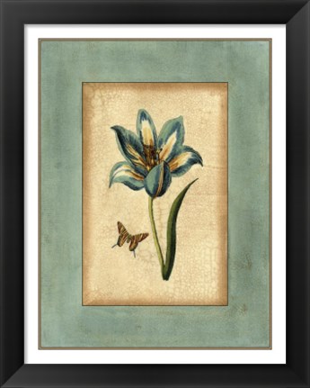 Framed Crackled Spa Blue Tulip III Print