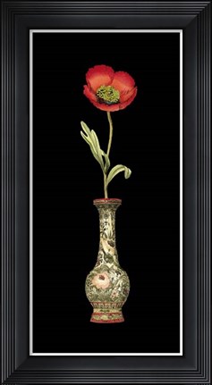 Framed Poppy Magic I Print