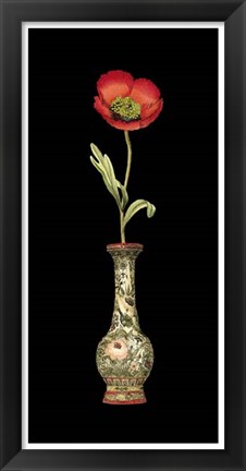 Framed Poppy Magic I Print