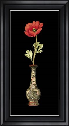 Framed Poppy Magic II Print