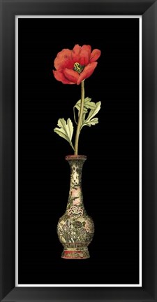 Framed Poppy Magic II Print