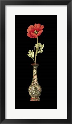 Framed Poppy Magic II Print