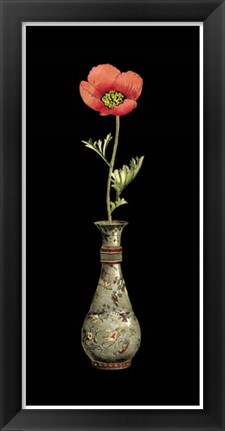 Framed Poppy Magic III Print