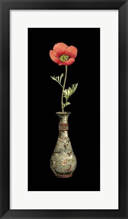 Framed Poppy Magic III Print