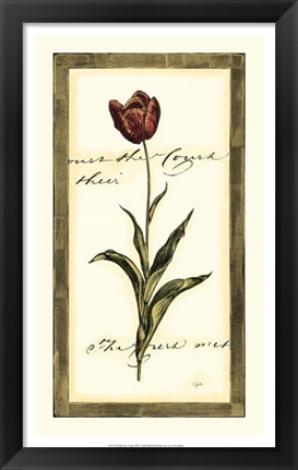 Framed Jen&#39;s Tulip I Print