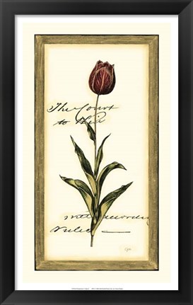 Framed Jen&#39;s Tulip II Print