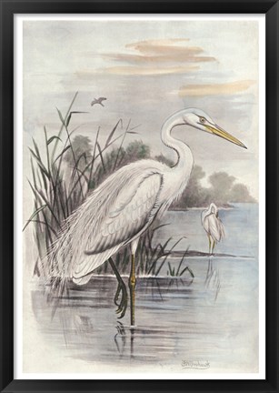Framed Oversize White Heron Print