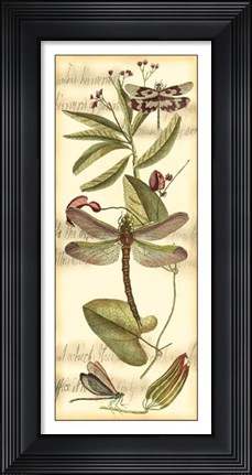 Framed Dragonfly Gathering II Print