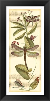 Framed Dragonfly Gathering II Print