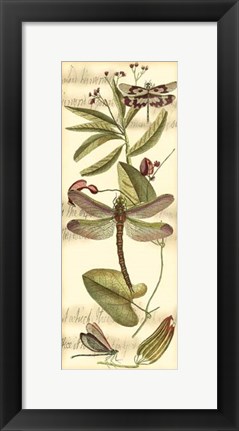Framed Dragonfly Gathering II Print