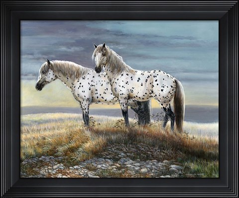 Framed Appaloosa Sundown Print