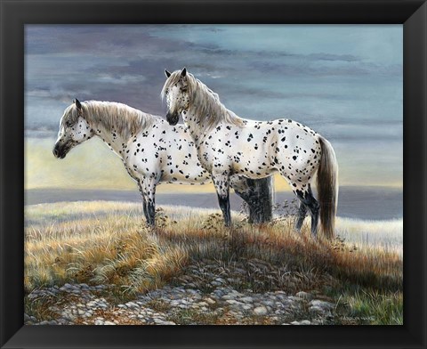 Framed Appaloosa Sundown Print