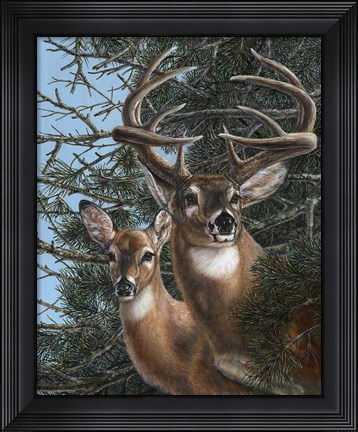 Framed Edge of the Pines Print