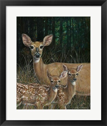 Framed On Alert Print