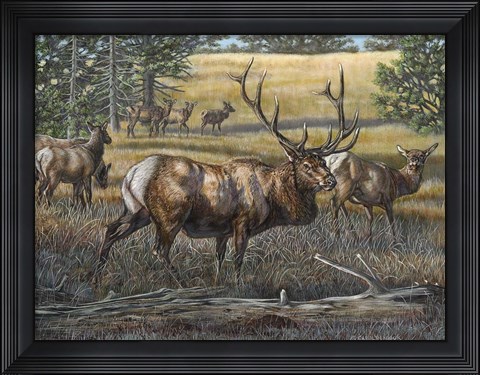 Framed His Majesty Print