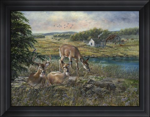 Framed Evening Shadows Print