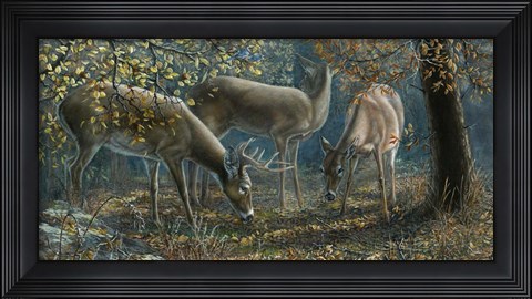 Framed Morning Chatter Print