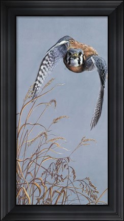Framed Prairie Lighting Print