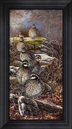 Framed Quail Trail Print