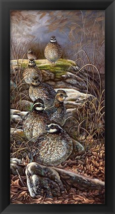 Framed Quail Trail Print