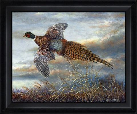 Framed Taking Flight Print