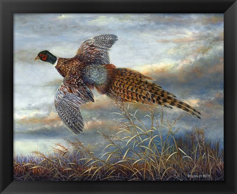 Framed Taking Flight Print