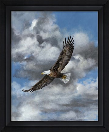 Framed Soaring Print