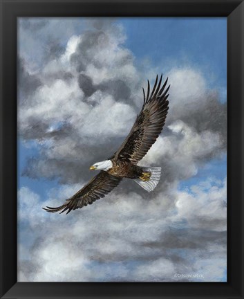 Framed Soaring Print