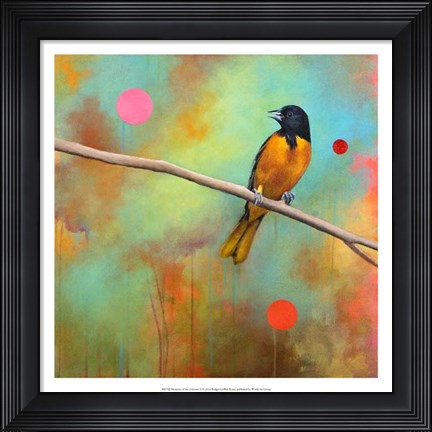 Framed Mysteries of the Universe II Print